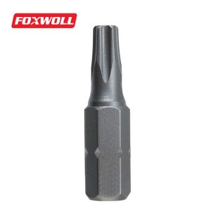 Screwdriver bit Torx head screwdriver 1/4 Inch Hex Shank-foxwoll